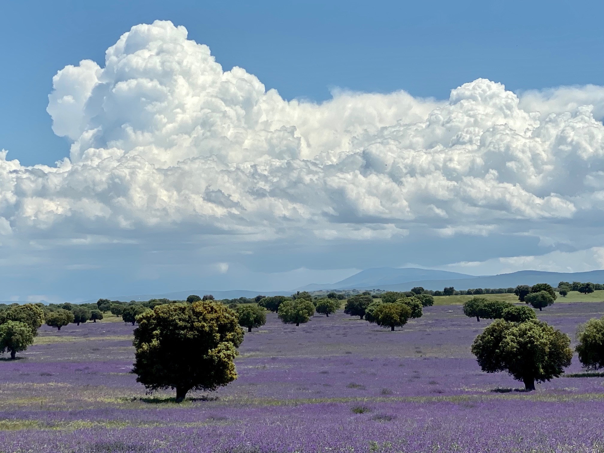 De coto de caza al mayor vedado de Europa: cómo vivir del campo respetándolo